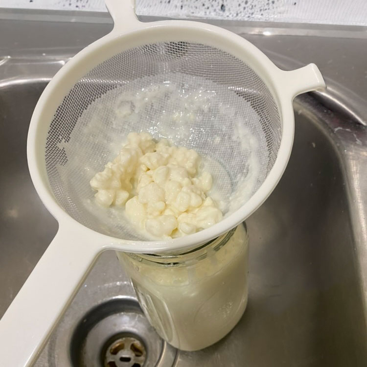 My kefir grains